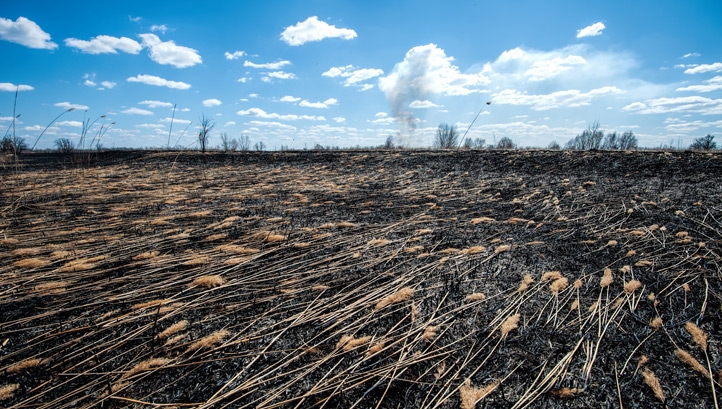 On average, each of the 50 banks was linked $52bn in finance that is causing biodiversity loss risk